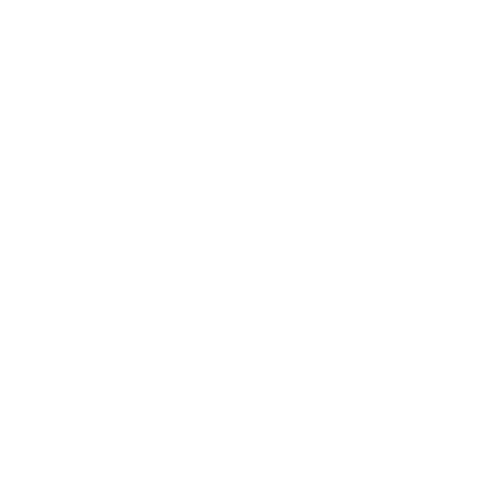 Icon Jalousie-Reparatur